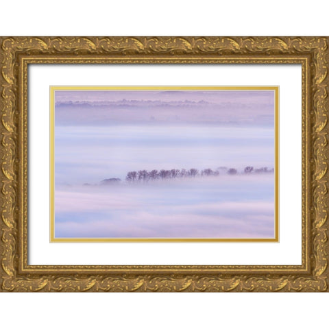 Mist Ripples II Gold Ornate Wood Framed Art Print with Double Matting by Dautlich, Nick