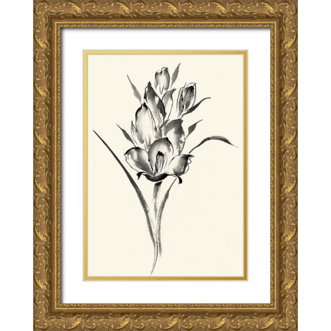 Ink Wash Floral II - Gladiolus Gold Ornate Wood Framed Art Print with Double Matting by Rae, Nan