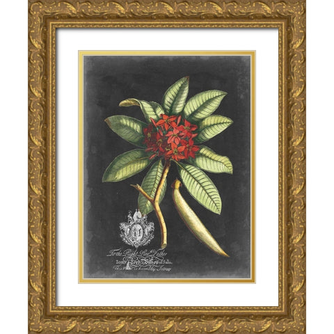 Royal Foliage III Gold Ornate Wood Framed Art Print with Double Matting by Vision Studio