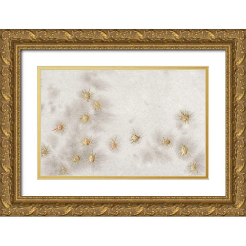 Spangled Grey I Gold Ornate Wood Framed Art Print with Double Matting by Binder, Vanessa