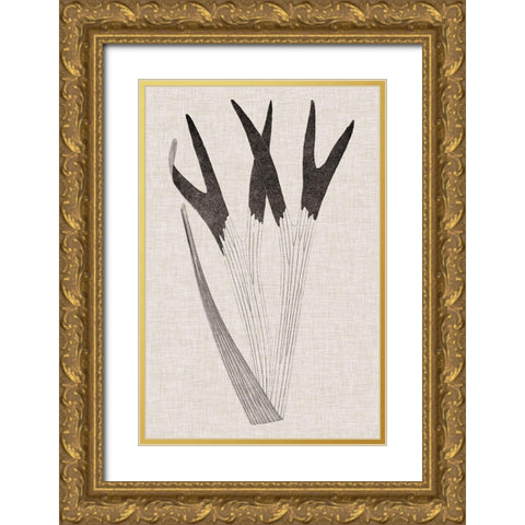 Custom Fern Family II (LG) Gold Ornate Wood Framed Art Print with Double Matting by Lowe