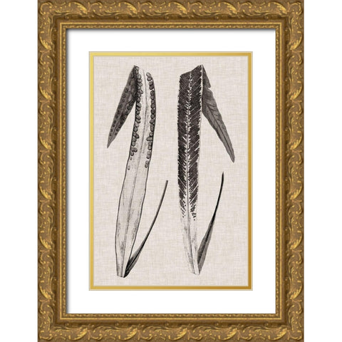 Custom Fern Family IV (LG) Gold Ornate Wood Framed Art Print with Double Matting by Lowe