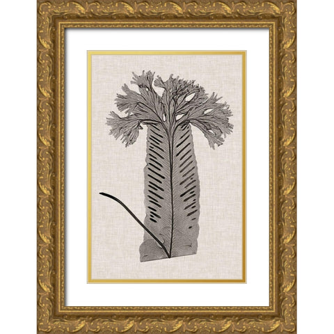Custom Fern Family V (LG) Gold Ornate Wood Framed Art Print with Double Matting by Lowe