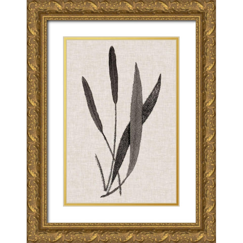 Custom Fern Family VI (LG) Gold Ornate Wood Framed Art Print with Double Matting by Lowe