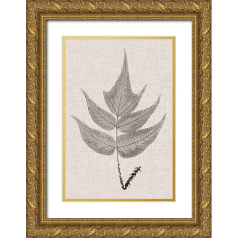 Custom Fern Family VII (LG) Gold Ornate Wood Framed Art Print with Double Matting by Lowe
