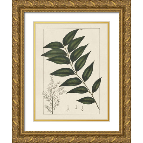 Custom Silva Leaves III (ASH) Gold Ornate Wood Framed Art Print with Double Matting by Silva, John
