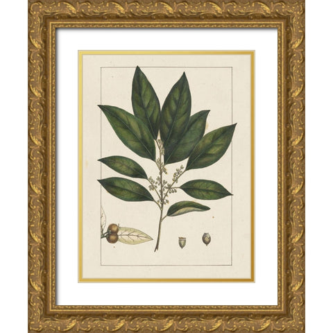 Custom Silva Leaves IV (ASH) Gold Ornate Wood Framed Art Print with Double Matting by Silva, John