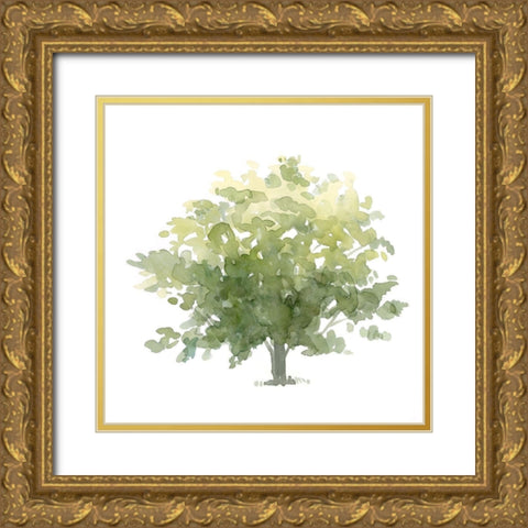 Lonely Oak I Gold Ornate Wood Framed Art Print with Double Matting by Scarvey, Emma