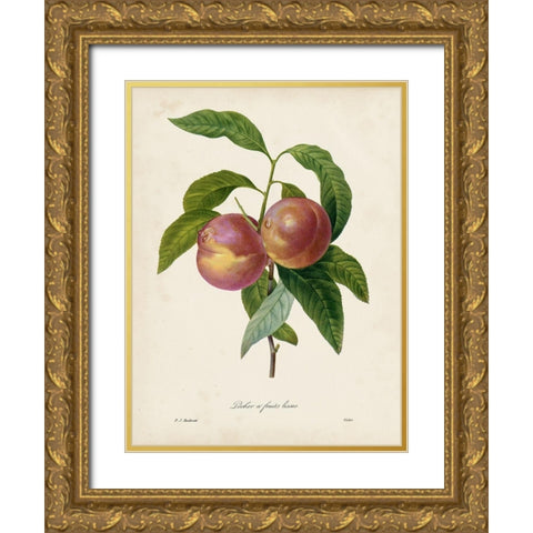 Redoutes Fruit II Gold Ornate Wood Framed Art Print with Double Matting by Redoute, Pierre