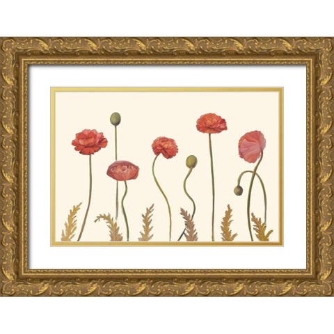 Coral Poppy Display I Gold Ornate Wood Framed Art Print with Double Matting by Iafrate, Sandra