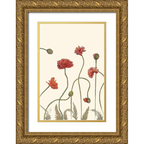 Coral Poppy Display III Gold Ornate Wood Framed Art Print with Double Matting by Iafrate, Sandra