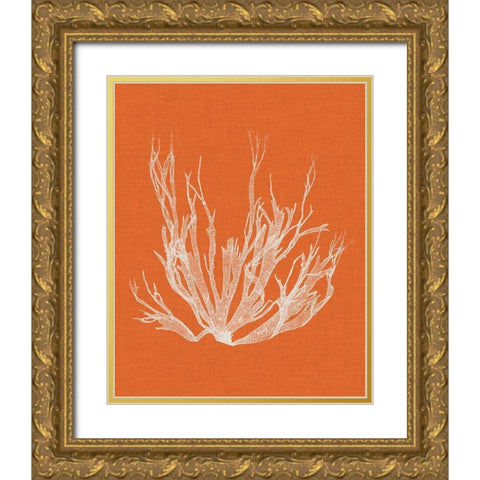 Seaweed Pop I Gold Ornate Wood Framed Art Print with Double Matting by Vision Studio