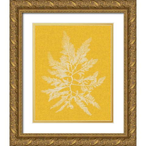 Seaweed Pop II Gold Ornate Wood Framed Art Print with Double Matting by Vision Studio