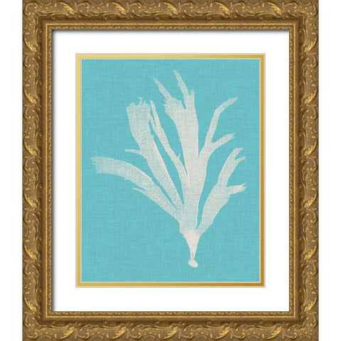 Seaweed Pop IV Gold Ornate Wood Framed Art Print with Double Matting by Vision Studio