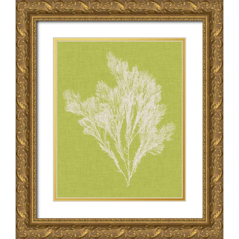 Seaweed Pop V Gold Ornate Wood Framed Art Print with Double Matting by Vision Studio