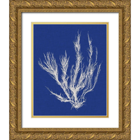 Seaweed Pop VI Gold Ornate Wood Framed Art Print with Double Matting by Vision Studio