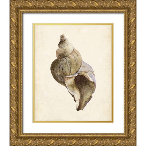 3-UP Watercolor Seashell II Gold Ornate Wood Framed Art Print with Double Matting by Wang, Melissa