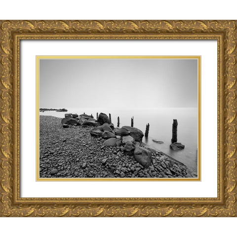 Black and White Water I Gold Ornate Wood Framed Art Print with Double Matting by McLoughlin, James