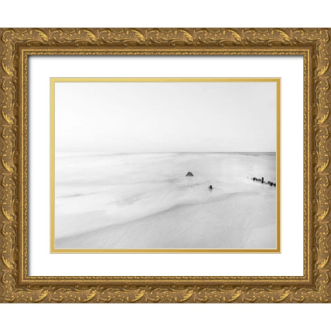 Black and White Water II Gold Ornate Wood Framed Art Print with Double Matting by McLoughlin, James