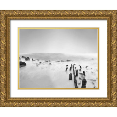 Black and White Water III Gold Ornate Wood Framed Art Print with Double Matting by McLoughlin, James