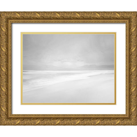 Black and White Water IV Gold Ornate Wood Framed Art Print with Double Matting by McLoughlin, James
