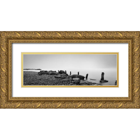Black and White Water Panel I Gold Ornate Wood Framed Art Print with Double Matting by McLoughlin, James