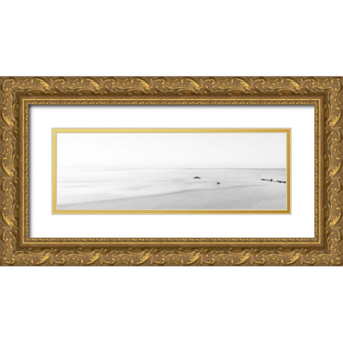 Black and White Water Panel II Gold Ornate Wood Framed Art Print with Double Matting by McLoughlin, James