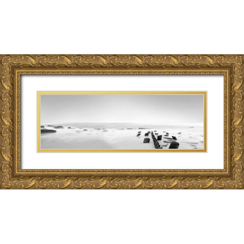 Black and White Water Panel III Gold Ornate Wood Framed Art Print with Double Matting by McLoughlin, James