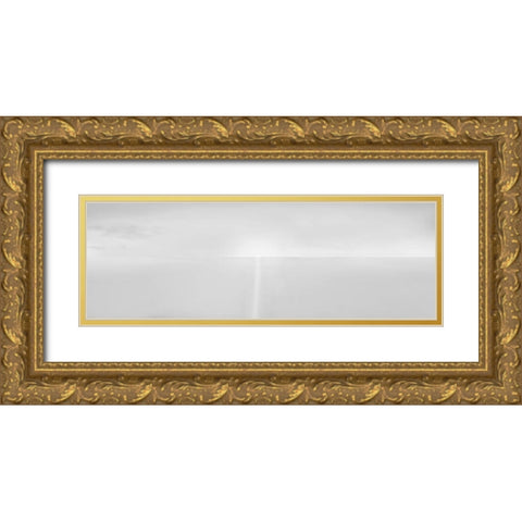 Black and White Water Panel IV Gold Ornate Wood Framed Art Print with Double Matting by McLoughlin, James