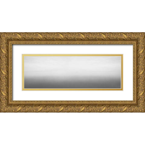 Black and White Water Panel V Gold Ornate Wood Framed Art Print with Double Matting by McLoughlin, James