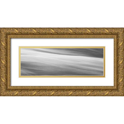 Black and White Water Panel VI Gold Ornate Wood Framed Art Print with Double Matting by McLoughlin, James