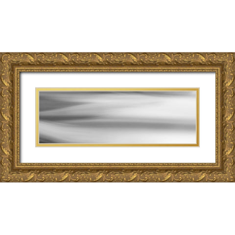 Black and White Water Panel VII Gold Ornate Wood Framed Art Print with Double Matting by McLoughlin, James