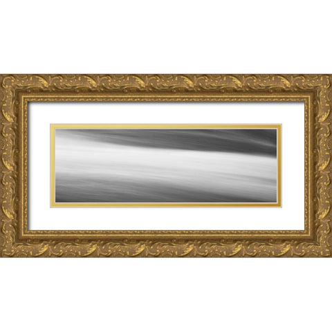Black and White Water Panel VIII Gold Ornate Wood Framed Art Print with Double Matting by McLoughlin, James