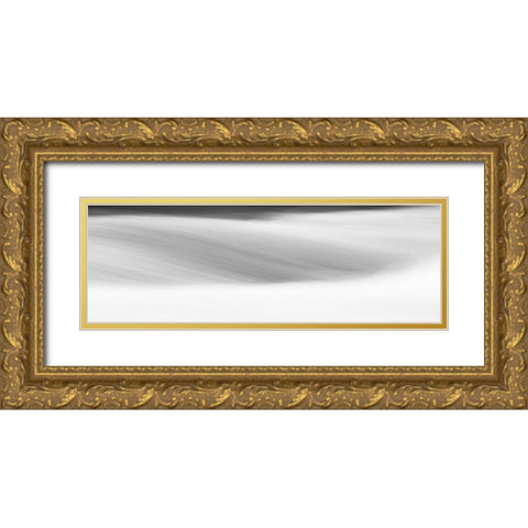 Black and White Water Panel IX Gold Ornate Wood Framed Art Print with Double Matting by McLoughlin, James
