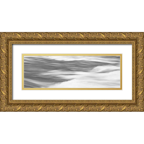 Black and White Water Panel X Gold Ornate Wood Framed Art Print with Double Matting by McLoughlin, James