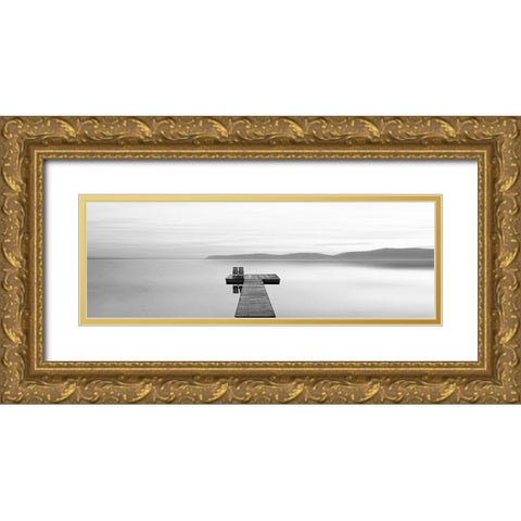 Black and White Water Panel XII Gold Ornate Wood Framed Art Print with Double Matting by McLoughlin, James