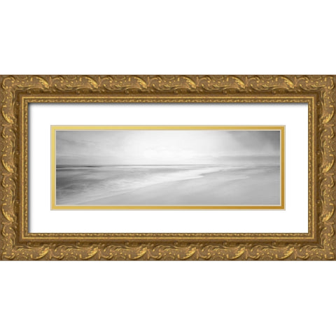 Black and White Water Panel XIII Gold Ornate Wood Framed Art Print with Double Matting by McLoughlin, James