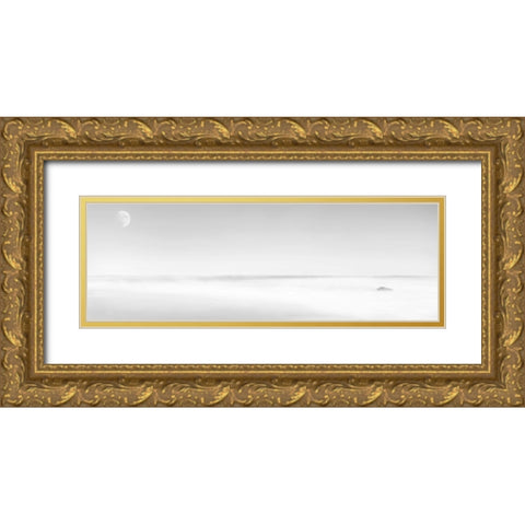 Black and White Water Panel XV Gold Ornate Wood Framed Art Print with Double Matting by McLoughlin, James