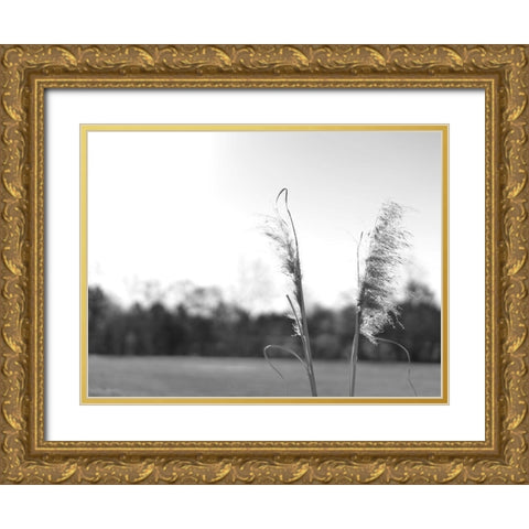 Ethereal Pampas VII Gold Ornate Wood Framed Art Print with Double Matting by Johnson, Jason