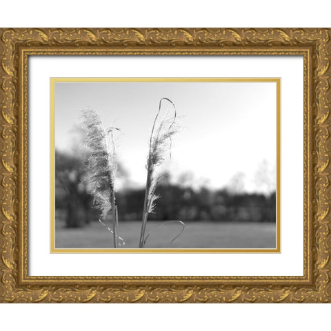 Ethereal Pampas VIII Gold Ornate Wood Framed Art Print with Double Matting by Johnson, Jason