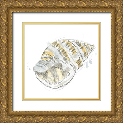 Citron Shell Sketch I Gold Ornate Wood Framed Art Print with Double Matting by Vess, June Erica