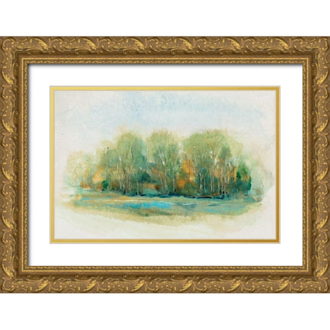 Forest Vignette I Gold Ornate Wood Framed Art Print with Double Matting by OToole, Tim