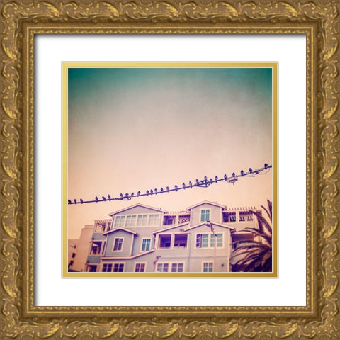 Birds on Wires I Gold Ornate Wood Framed Art Print with Double Matting by Brown, Thomas