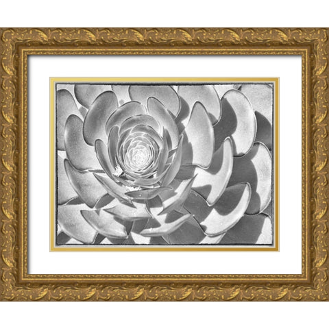 One After Another II Gold Ornate Wood Framed Art Print with Double Matting by Hartson-Weddle, Ryan
