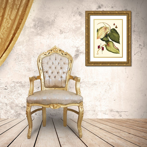 Buchoz Leaves III Gold Ornate Wood Framed Art Print with Double Matting by Vision Studio