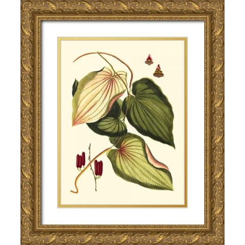 Buchoz Leaves III Gold Ornate Wood Framed Art Print with Double Matting by Vision Studio