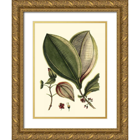 Buchoz Leaves V Gold Ornate Wood Framed Art Print with Double Matting by Vision Studio