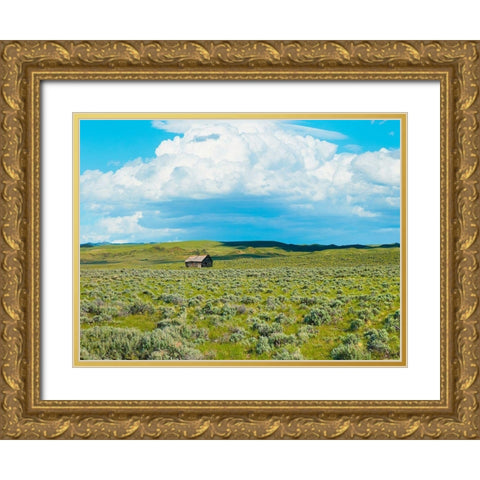 Barn Scene I Gold Ornate Wood Framed Art Print with Double Matting by McLoughlin, James