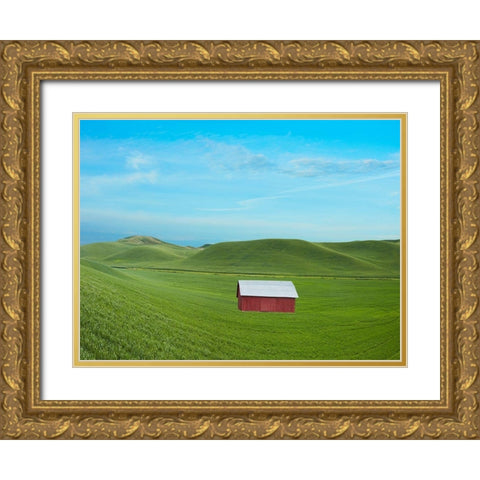 Barn Scene VI Gold Ornate Wood Framed Art Print with Double Matting by McLoughlin, James