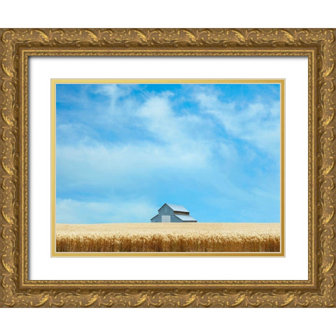Barn Scene IX Gold Ornate Wood Framed Art Print with Double Matting by McLoughlin, James
